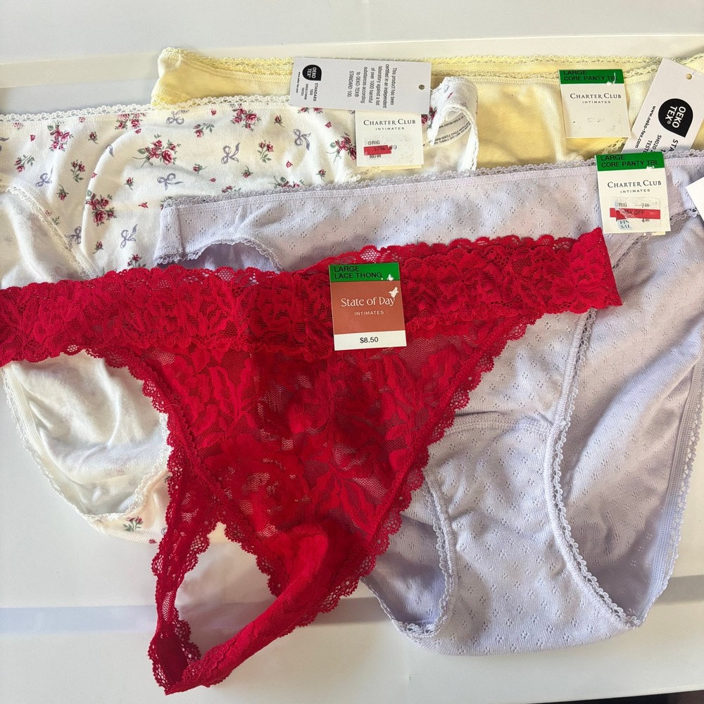 Charter Club State of Day Panty Lot 4PK Large Floral Lace Bikini Thong NEW